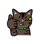 Jasper's Cats（個別スタンプ：23）