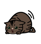Jasper's Cats（個別スタンプ：24）