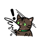 Jasper's Cats（個別スタンプ：30）