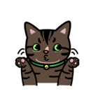 Jasper's Cats（個別スタンプ：32）