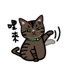 Jasper's Cats（個別スタンプ：35）