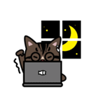 Jasper's Cats（個別スタンプ：38）