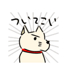 グループトーク動物たち（個別スタンプ：13）
