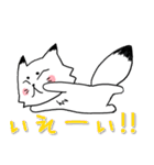 ネコじゃないホッキョクギツネ（個別スタンプ：34）