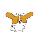 みーたろのいちにち（個別スタンプ：38）