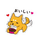 くまっけJAPAN（個別スタンプ：5）