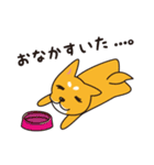 くまっけJAPAN（個別スタンプ：38）