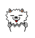 White Pomeranian enjoy life（個別スタンプ：1）