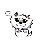 White Pomeranian enjoy life（個別スタンプ：3）