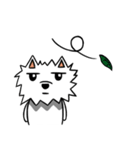 White Pomeranian enjoy life（個別スタンプ：11）