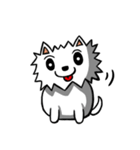 White Pomeranian enjoy life（個別スタンプ：12）