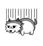 White Pomeranian enjoy life（個別スタンプ：14）