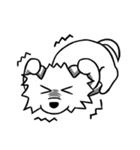 White Pomeranian enjoy life（個別スタンプ：23）