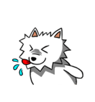 White Pomeranian enjoy life（個別スタンプ：24）