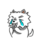White Pomeranian enjoy life（個別スタンプ：26）