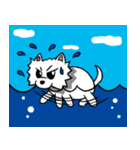 White Pomeranian enjoy life（個別スタンプ：27）