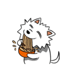 White Pomeranian enjoy life（個別スタンプ：32）