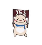 timmy（個別スタンプ：3）
