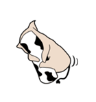 timmy（個別スタンプ：30）