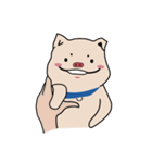timmy（個別スタンプ：31）