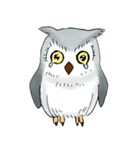 Lazy Grey Owl（個別スタンプ：3）
