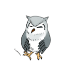 Lazy Grey Owl（個別スタンプ：4）
