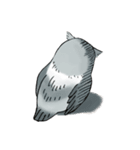 Lazy Grey Owl（個別スタンプ：12）