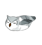 Lazy Grey Owl（個別スタンプ：15）