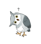 Lazy Grey Owl（個別スタンプ：17）