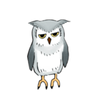 Lazy Grey Owl（個別スタンプ：19）