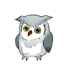 Lazy Grey Owl（個別スタンプ：22）