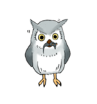 Lazy Grey Owl（個別スタンプ：31）