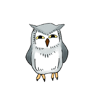 Lazy Grey Owl（個別スタンプ：34）