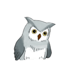Lazy Grey Owl（個別スタンプ：37）