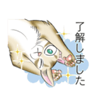 シンガプーラ大好き！スタンプ（個別スタンプ：4）