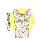 シンガプーラ大好き！スタンプ（個別スタンプ：9）