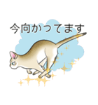 シンガプーラ大好き！スタンプ（個別スタンプ：11）