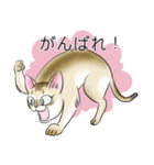 シンガプーラ大好き！スタンプ（個別スタンプ：15）