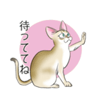 シンガプーラ大好き！スタンプ（個別スタンプ：26）