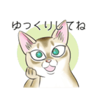 シンガプーラ大好き！スタンプ（個別スタンプ：32）