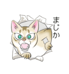 シンガプーラ大好き！スタンプ（個別スタンプ：39）