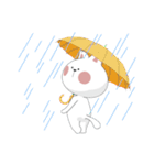 hello cat fred！（個別スタンプ：27）