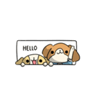 Scruffy ＆ Sabrina（個別スタンプ：21）