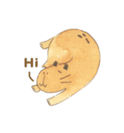 Capybara daily（個別スタンプ：2）