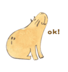 Capybara daily（個別スタンプ：5）