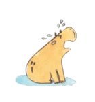 Capybara daily（個別スタンプ：7）