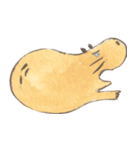 Capybara daily（個別スタンプ：10）