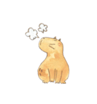 Capybara daily（個別スタンプ：12）