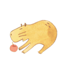 Capybara daily（個別スタンプ：13）
