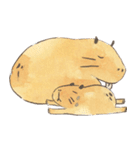Capybara daily（個別スタンプ：14）